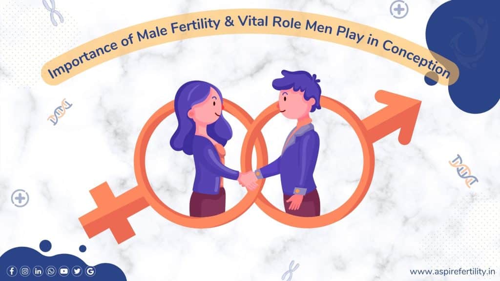 The Importance of Male Fertility and the Vital Role Men Play in Conception