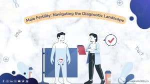 Male Fertility: Navigating the Diagnostic Landscape