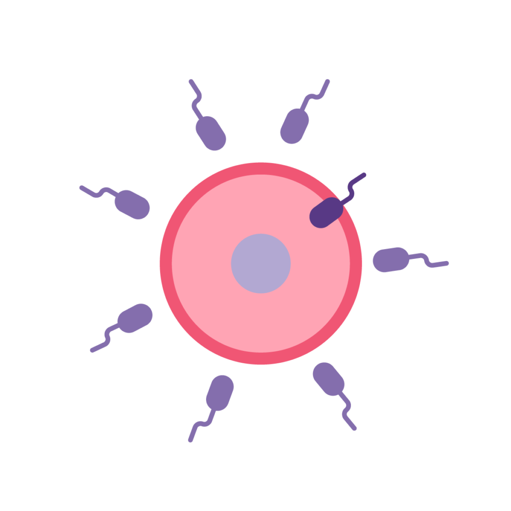 Male Infertility