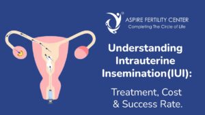 Understanding Intrauterine Insemination(IUI): Treatment, Cost & Success Rate